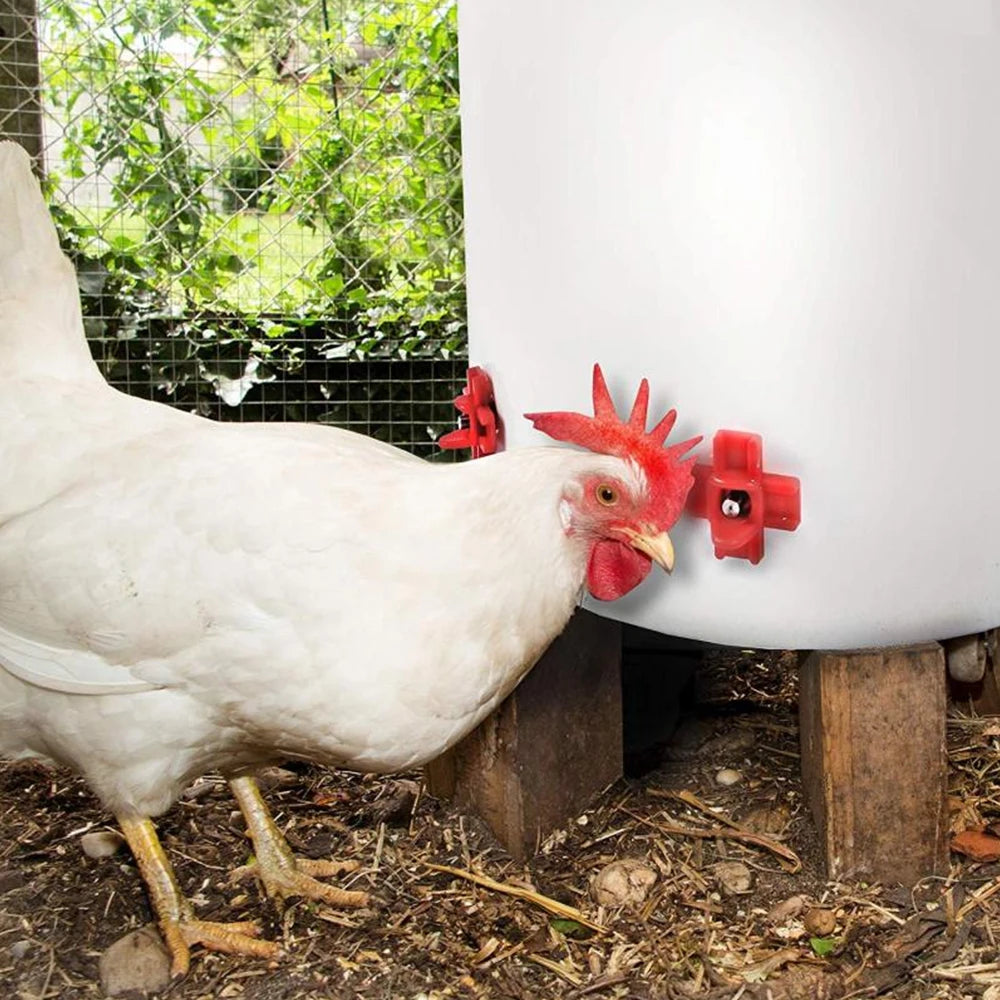 12 pcs Automatic Chicken Waterer Hens Quail Birds Drinking Bowls Chick ...